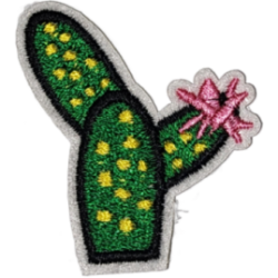 Green Yellow Pink Black Outline Cactus with Flower I/O