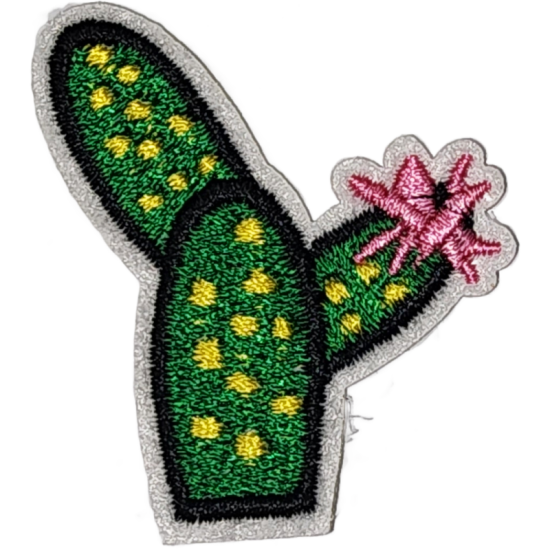 Green Yellow Pink Black Outline Cactus with Flower I/O