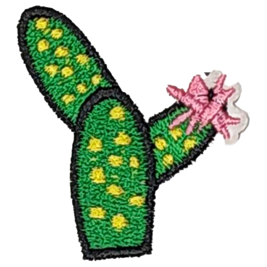 Green Yellow Pink White Outline Cactus with Flower I/O