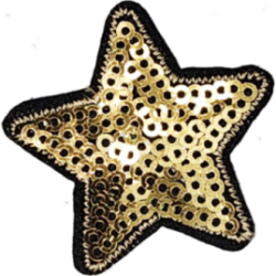 Gold Black Outline Star with Sequins I/O